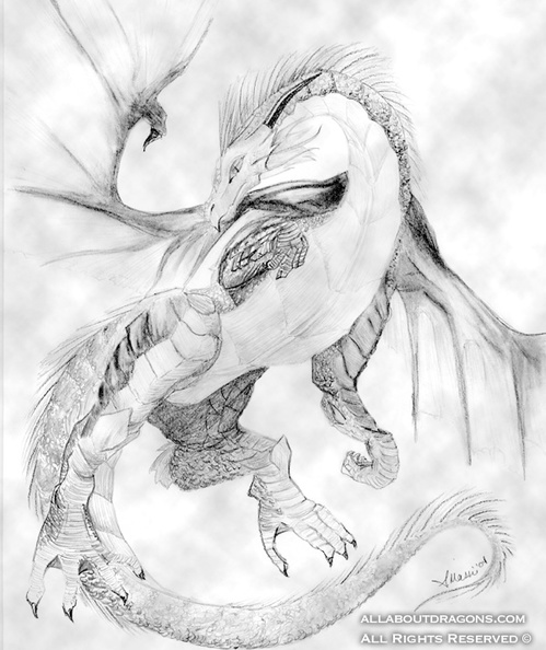 1670-dragon-Dragon_in_flight_by_aefrae.jpg