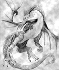 1670-dragon-Dragon_i