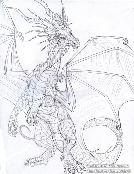 1674-dragon-Whats_that__by_hibbary.jpg