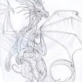 1674-dragon-Whats_th