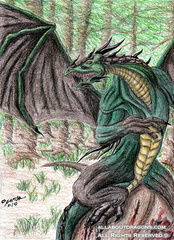 1684-dragon-forest_d