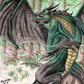 1684-dragon-forest_d