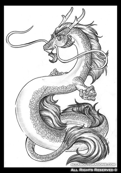 1692-dragon-Chinese_Dragon_by_MarsW.jpg
