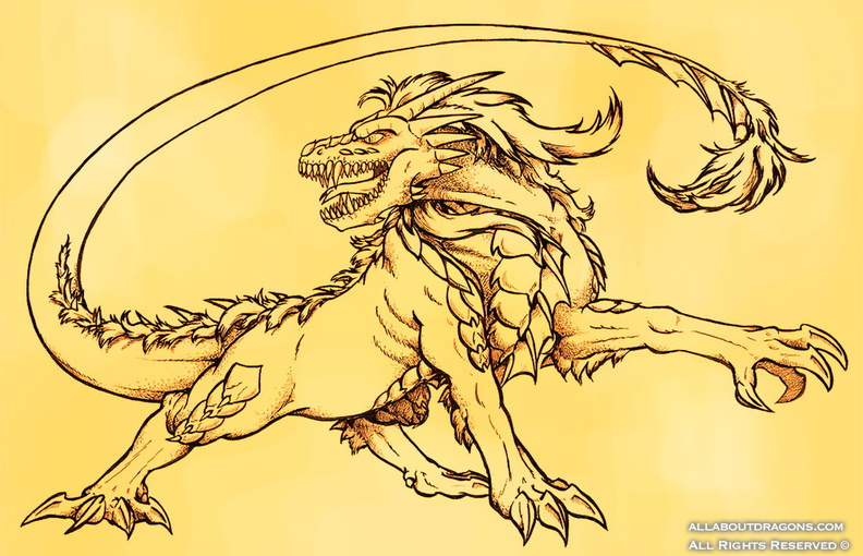1718-dragon-Dragon_Beast_by_DarkDragon774.jpg