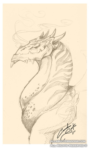 1720-dragon-dragon_sketch_5_9_11_by_mythka-d3g09kb.png