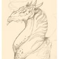 1720-dragon-dragon_s