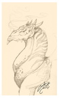 1720-dragon-dragon_s