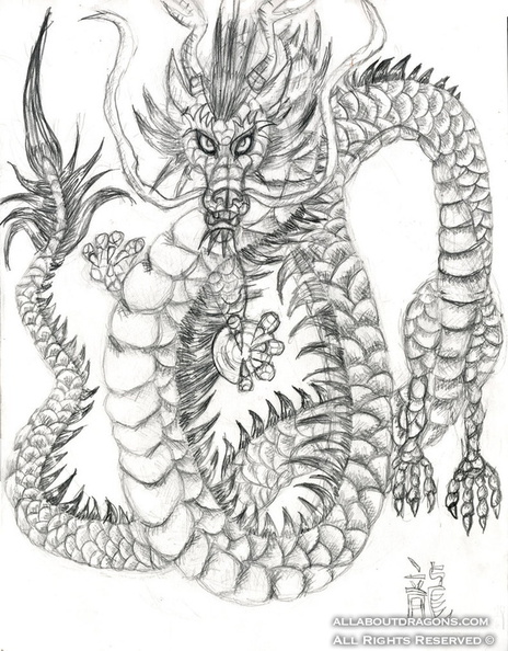 1728-dragon-chinese_dragon_in_pencil_by_ohioeriecanalgirl-d5gsrg5.jpg