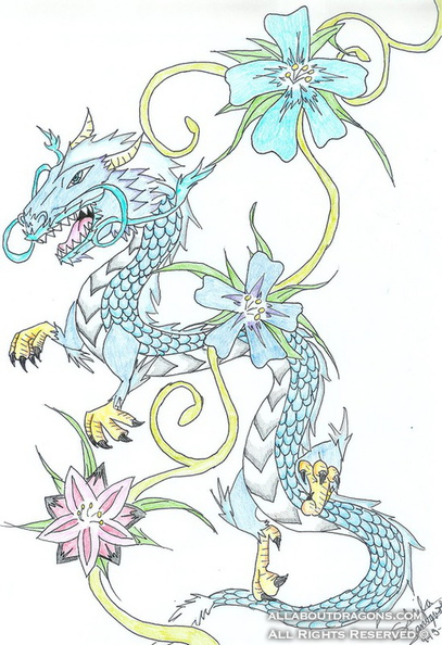 1733-dragon-Asian_Dragon_Pic_by_hikari_paanda953.jpg