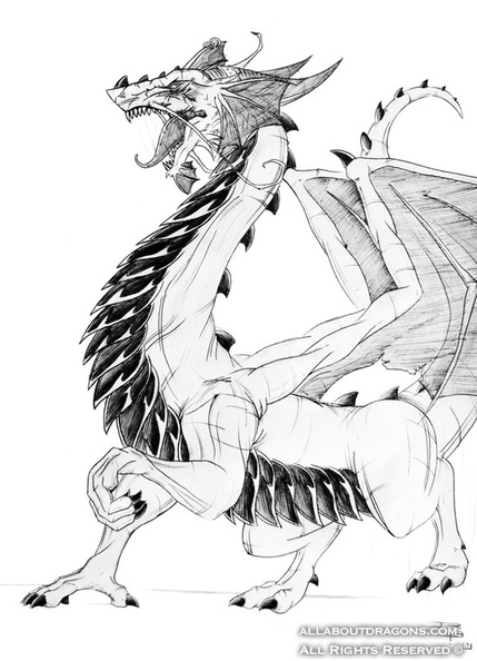 1738-dragon-the_dragon_by_gravemind1110-d37mruu.jpg