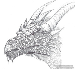 1740-dragon-pen_drag