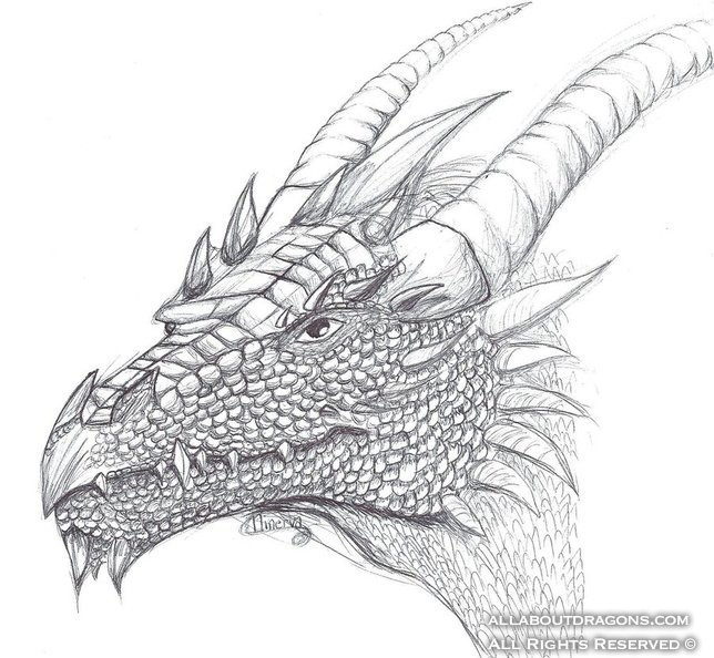 1740-dragon-pen_dragon_by_ninerva8d-d4jwhct.jpg