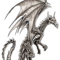 1763-dragon-Iron_Dra