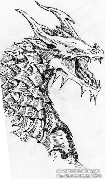 1798-dragon-dragon_of_the_depths_by_birdofabirch-d4mnfaf.jpg