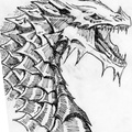 1798-dragon-dragon_o