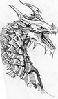 1798-dragon-dragon_o