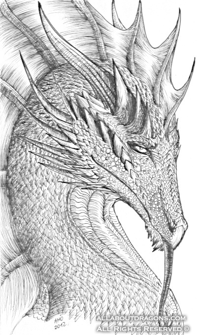 1805-dragon-dragon_b