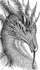 1805-dragon-dragon_b