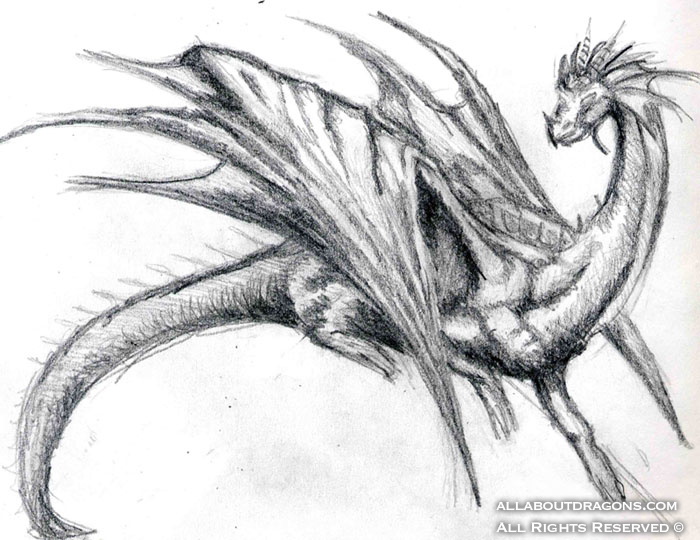 1813-dragon-Dragon_by_sarienette.jpg