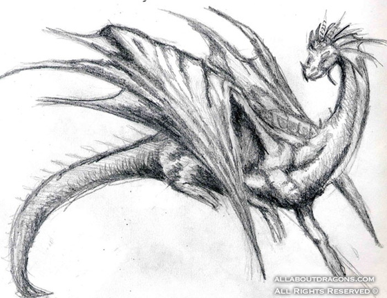 1813-dragon-Dragon_b