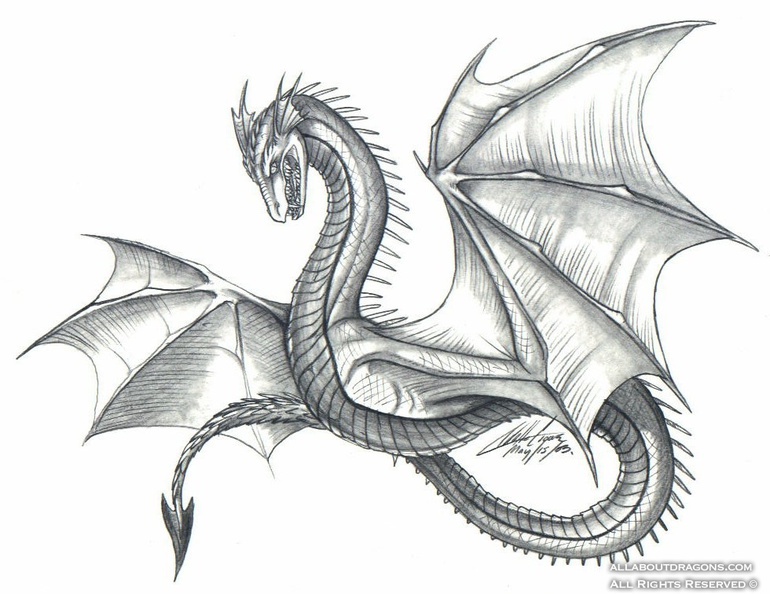 1817-dragon-Old_Style_Dragon.jpg