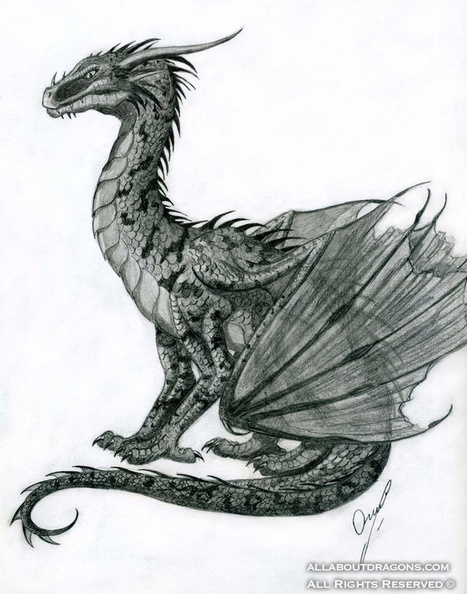 1818-dragon-Sitting_dragon_by_Chickenzaur.jpg