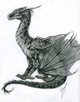 1818-dragon-Sitting_