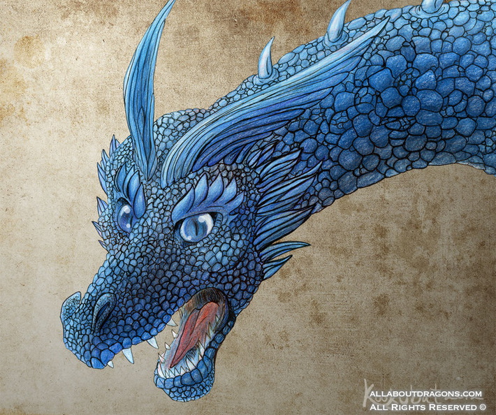 1822-dragon-blue_dra