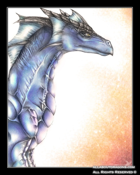 1838-dragon-Avalon__the_Blue_Dragon_by_Sastrei.jpg