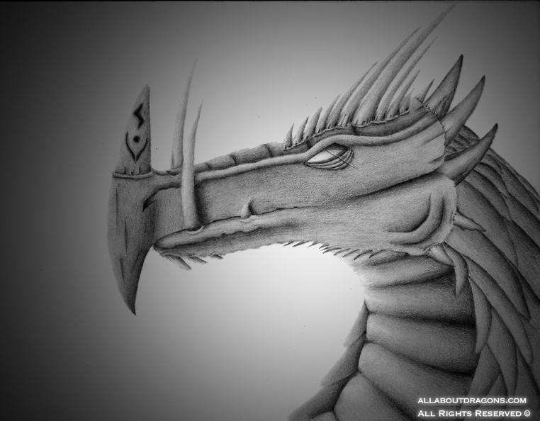 1851-dragon-scarred_dragon_by_ari_00-d4mkinl.jpg