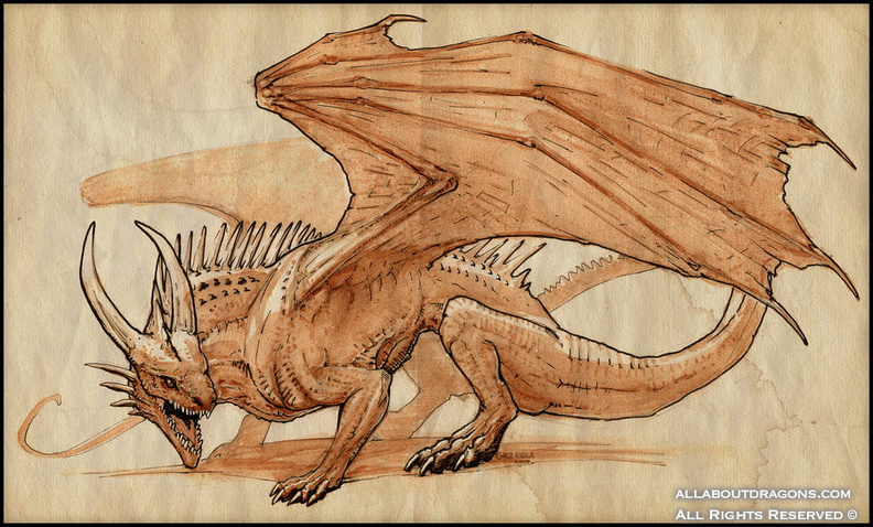 1871-dragon-kaze_by_grzanka-d356k8g.jpg