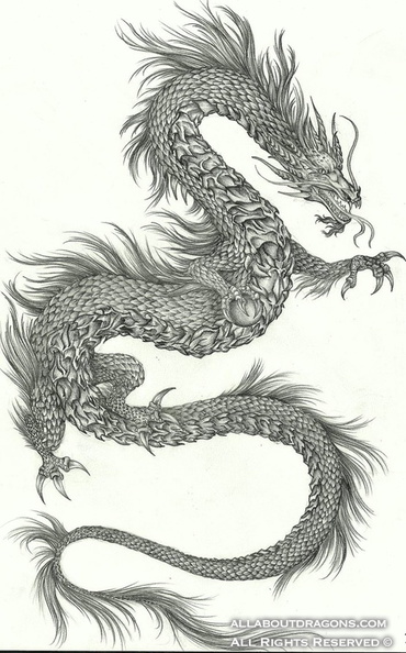 1979-dragon-black_dragon_by_yazoolovrec-d33cs58.jpg