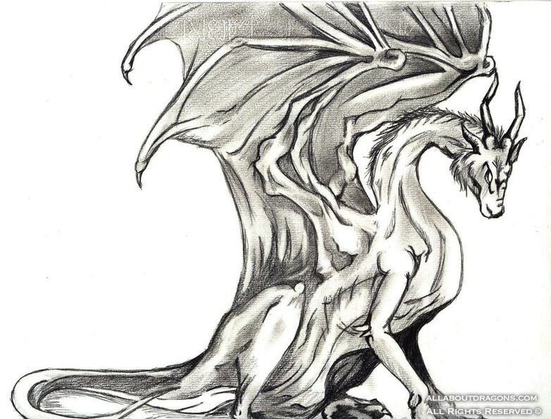 1994-dragon-dragon_a
