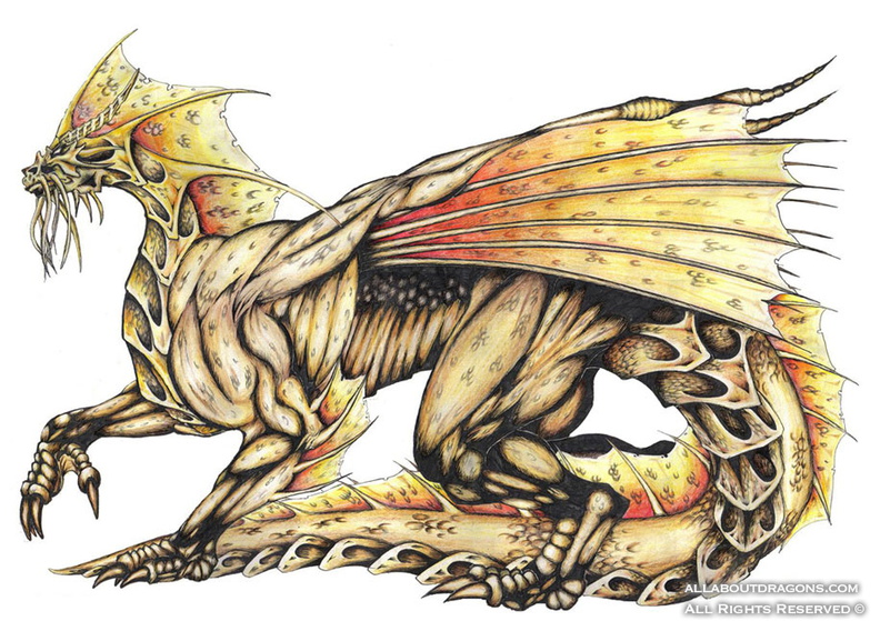 2012-dragon-Golden_Dragon_by_Runefaust.jpg