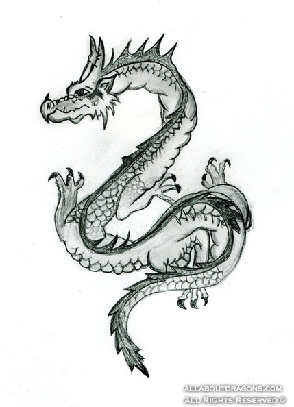 2029-dragon-dragon_by_riekerosine-d4wcfi7.jpg