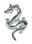 2029-dragon-dragon_b
