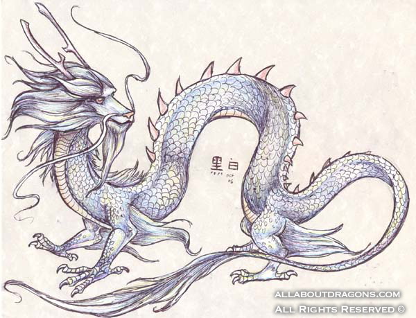 2049-dragon-Albino_Dragon_by_who_stole_MY_name.jpg