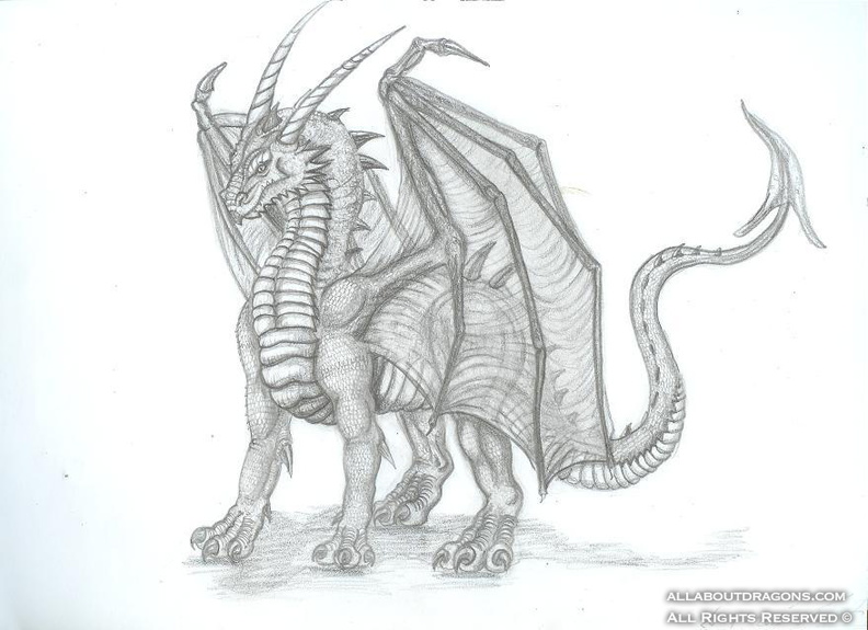 2070-dragon-standing_dragon_by_Ruth_Tay.jpg
