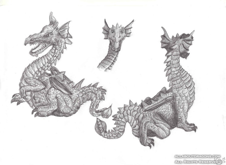 2076-dragon-Some_Dragon_practice_by_NoreyDragon.jpg