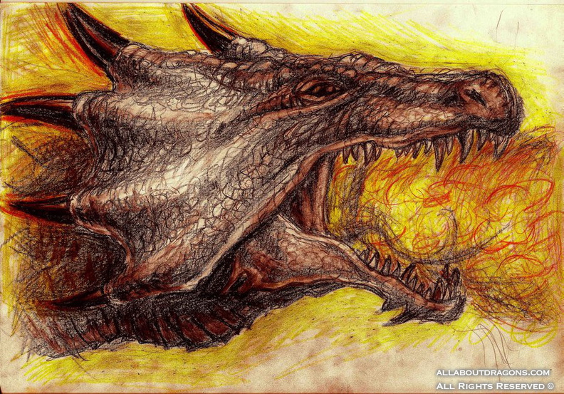 2084-dragon-dragon_head__1_by_kanda3egle-d3eltak.jpg