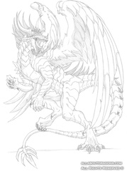 2117-dragon-sketch_c