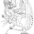 2117-dragon-sketch_c