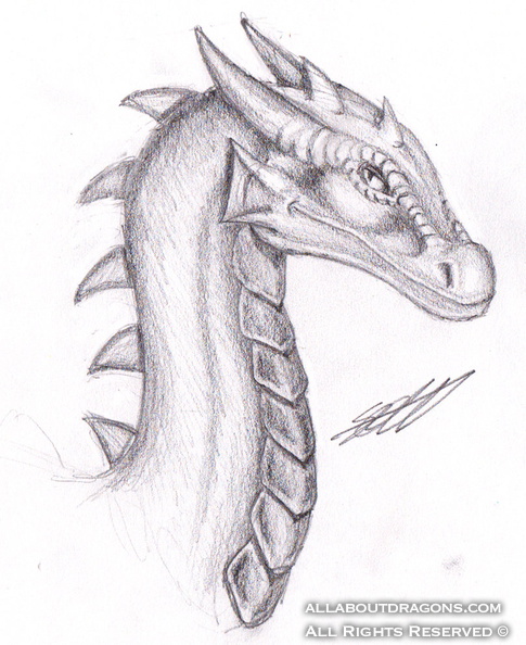 2145-dragon-dragon_bust_by_scooter79rs-d351g8e.jpg