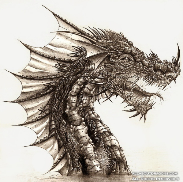 2157-dragon-__I_shall_wait_in_the_water___by_Ipnorospo.jpg
