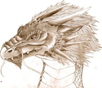 2161-dragon-quick_dr