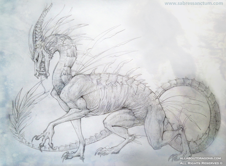 2171-dragon-sketch_dragon_by_firequill-d3jqqw1.jpg
