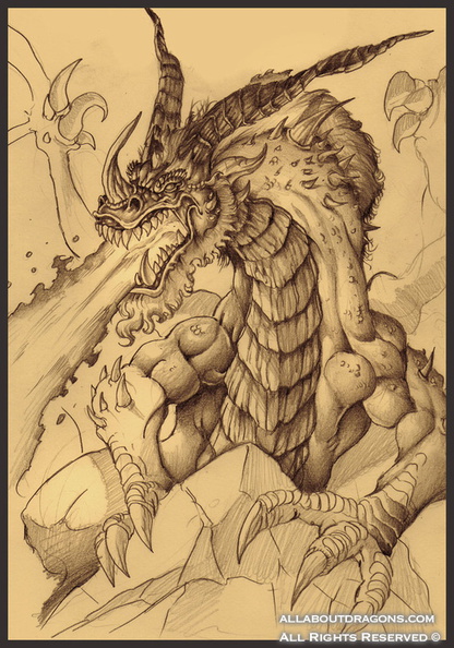 2172-dragon-Dragon_sketch_by_DOUGLASDRACO.jpg