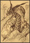 2172-dragon-Dragon_s