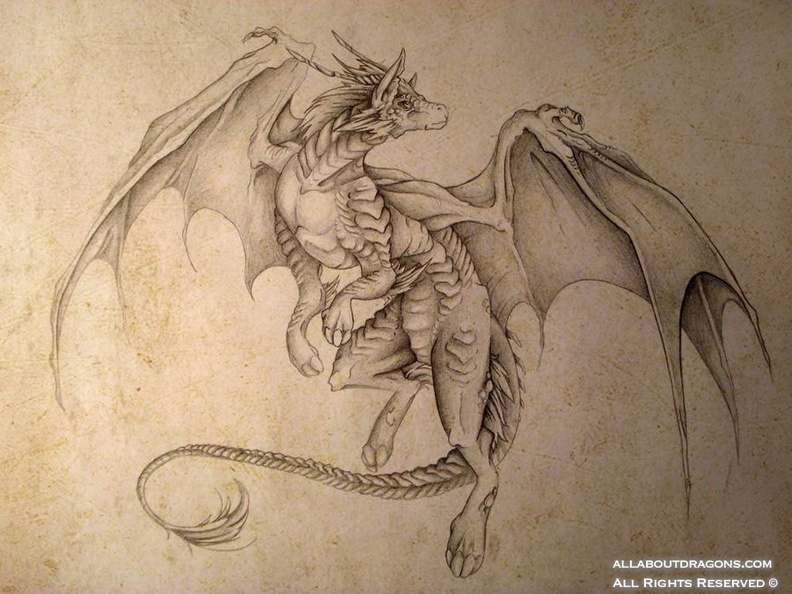 2174-dragon-commission_progress_by_mystalia-d4aezb3.jpg