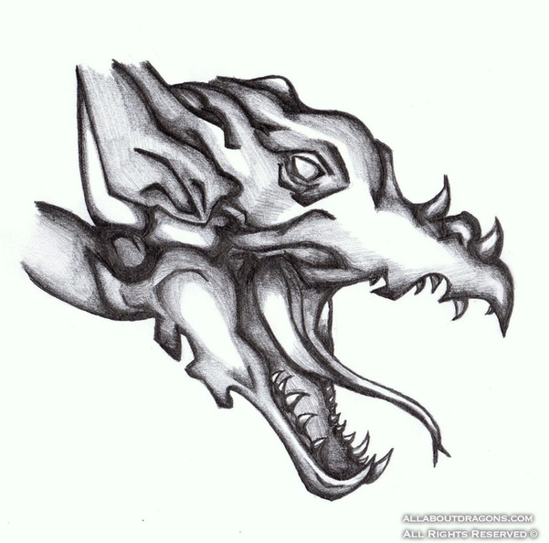 2176-dragon-dragon_sketch_by_tribalinklady-d3j092p.jpg